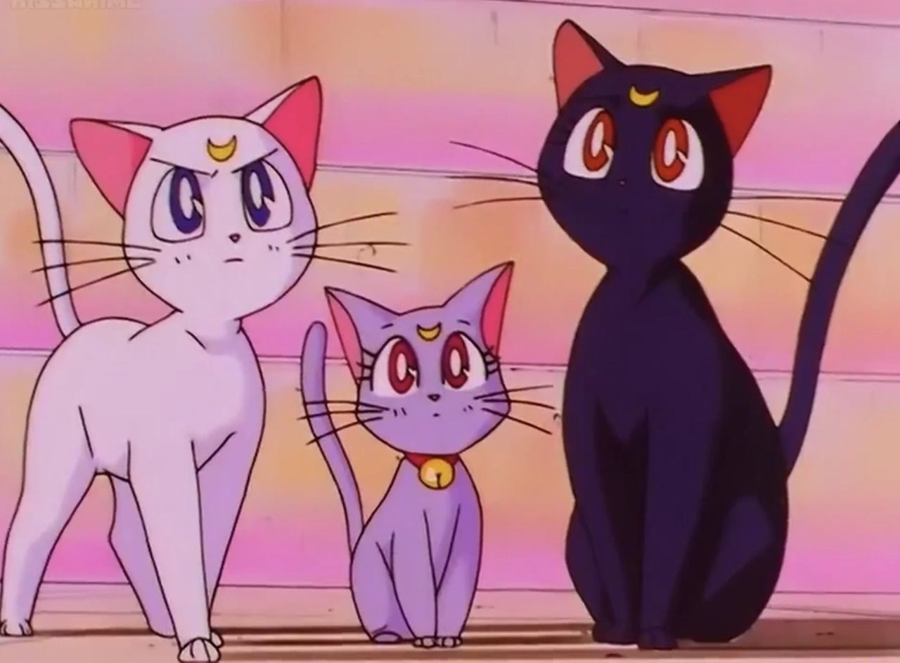 Artemisa y Luna - Sailor Moon |:  10 gatos icónicos de anime |:  Zestradar