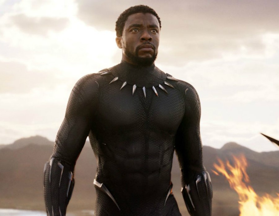 Pantera Negra / Chadwick Boseman |:  ¡Clasificación de los Vengadores más populares de la historia! [In No Particular Order, Except For Iron Man Maybe] |:  Zestradar