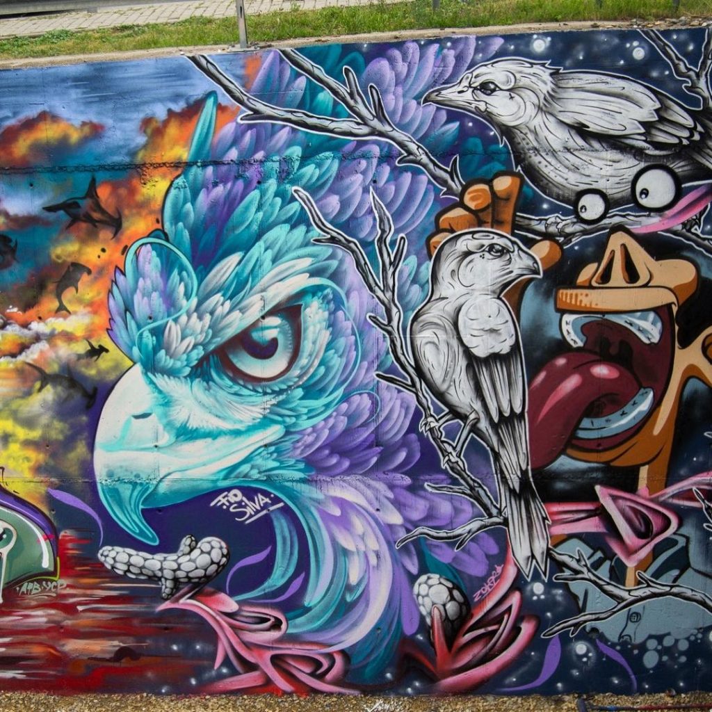 #9 |  Murales de aves fenomenales de Fio Silva |:  Zestradar