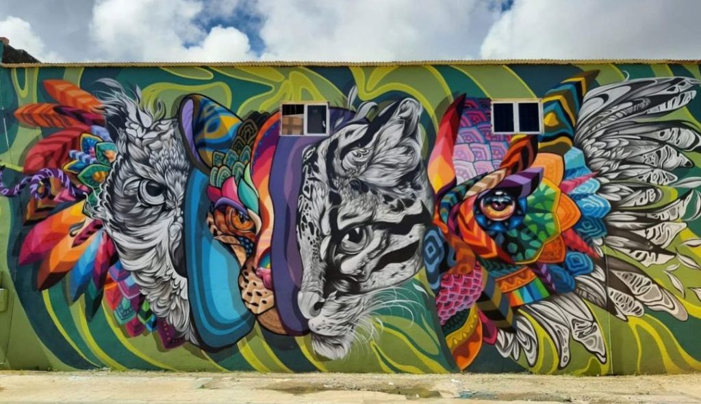 #10 |  Murales de aves fenomenales de Fio Silva |:  Zestradar