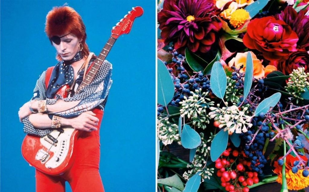 #4 |  David Bowie como Flores |  Zestradar