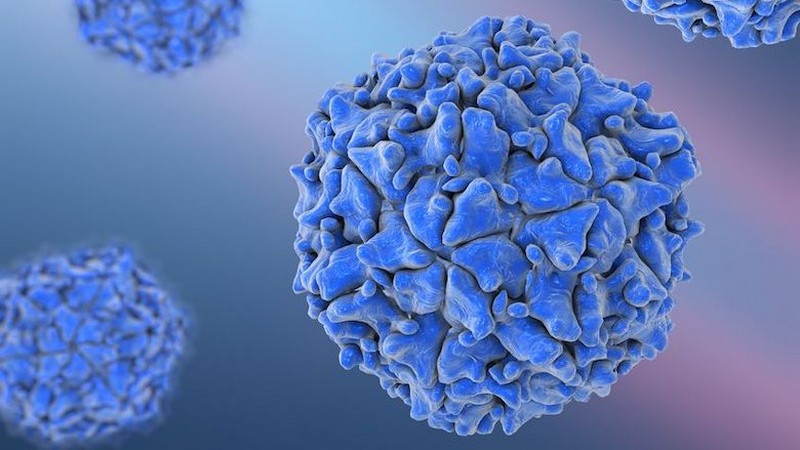 Poliomielitis |  Se han creado virus y bacterias mortales en laboratorios.  Zestradar