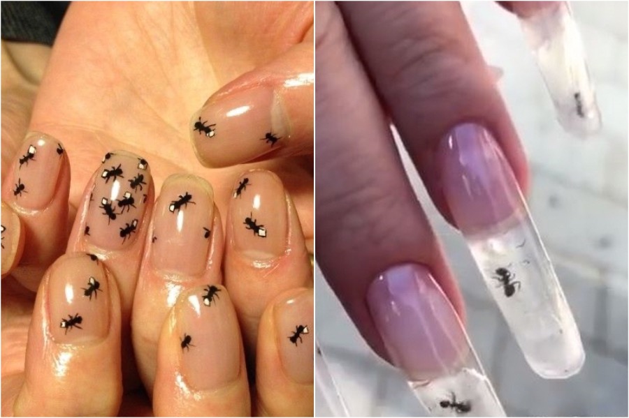 Arte de uñas de hormiga |:  Las tendencias de arte de uñas más locas |  Zestradar