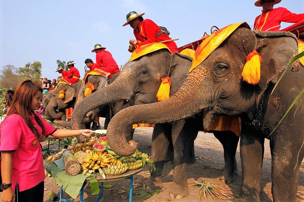 Elefante (Tailandia) |:  7 animales sagrados de todo el mundo |  Zestradar