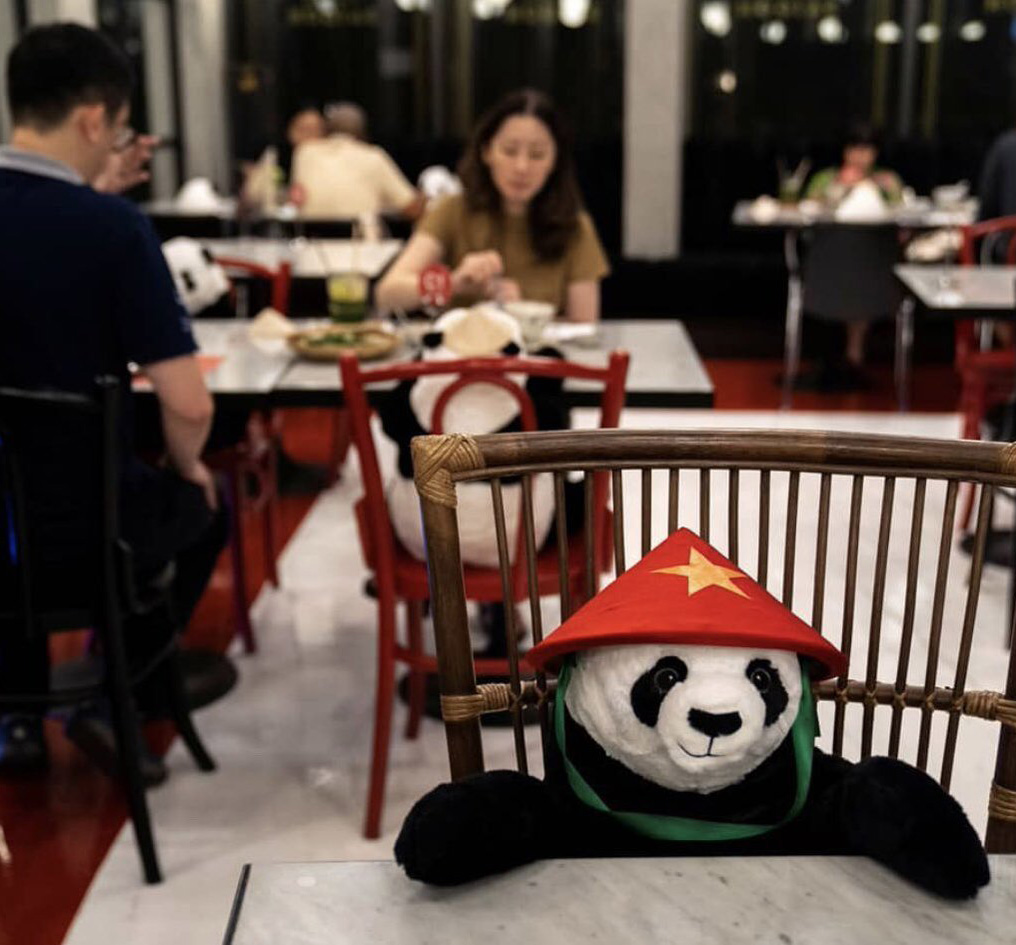#3 |  Restaurante tailandés trae pandas a la mesa para promover el distanciamiento social |  Zestradar