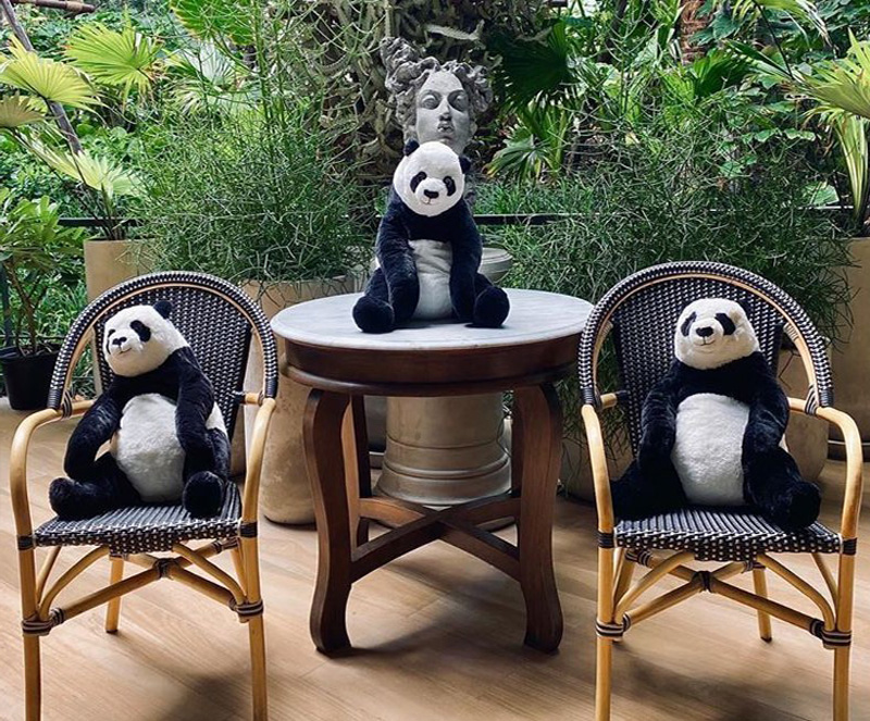#7 |  Restaurante tailandés trae pandas a la mesa para promover el distanciamiento social |  Zestradar
