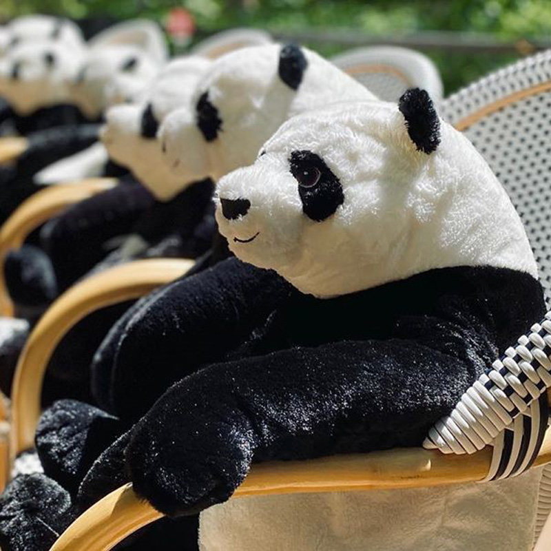 #8 |  Restaurante tailandés trae pandas a la mesa para promover el distanciamiento social |  Zestradar