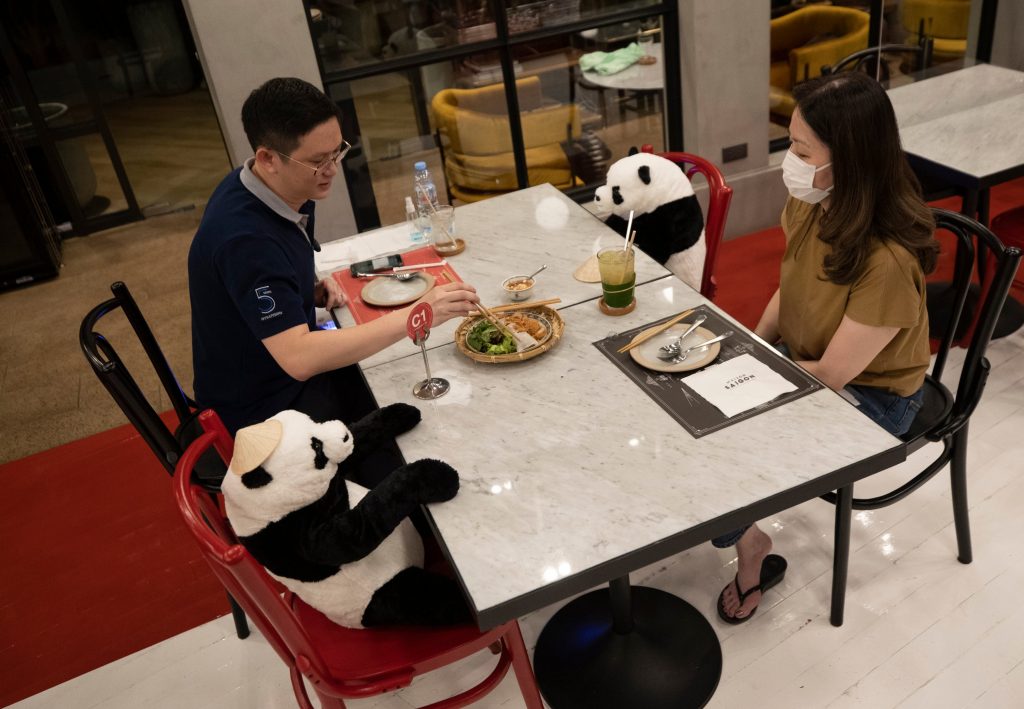 #9 |  Restaurante tailandés trae pandas a la mesa para promover el distanciamiento social |  Zestradar