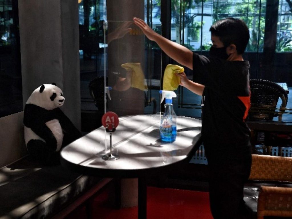 #10 |  Restaurante tailandés trae pandas a la mesa para promover el distanciamiento social |  Zestradar