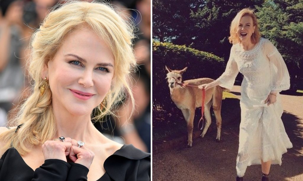 Nicole Kidman – Alpacas |:  Kristen Stewart - El lobo |  10 celebridades con mascotas realmente extrañas |  Zestradar