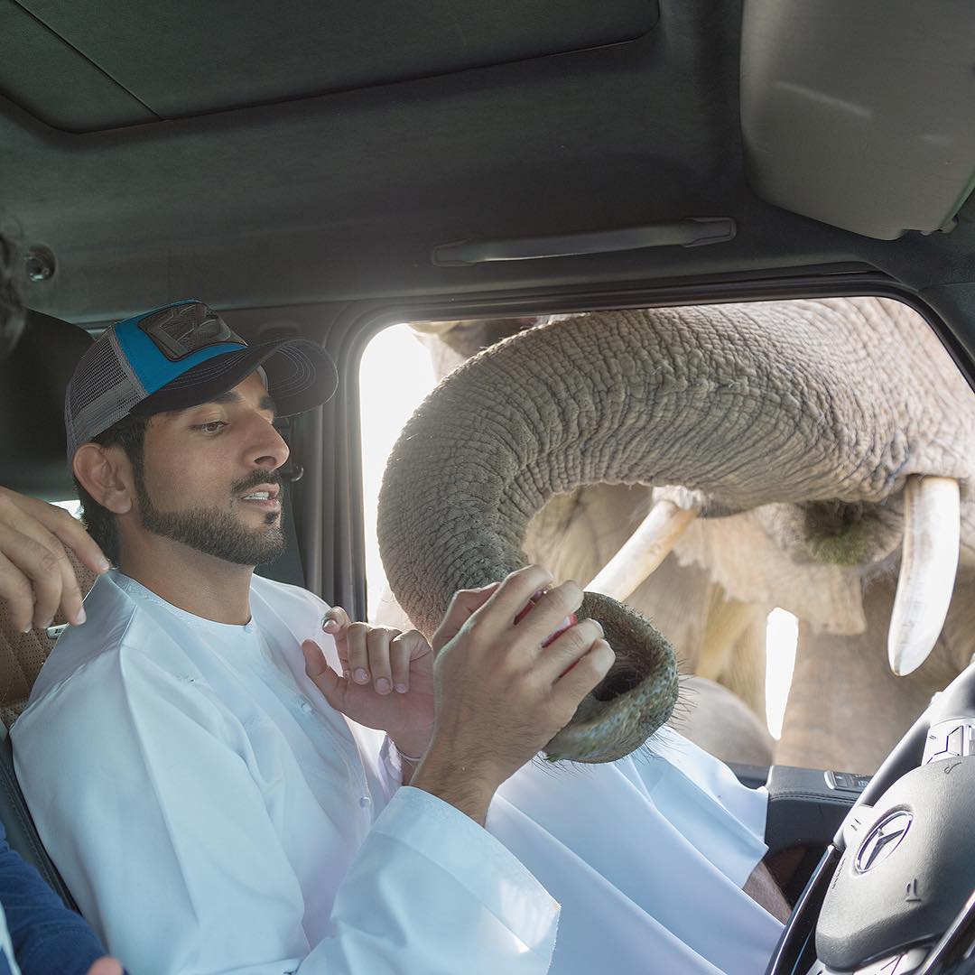 conocer-la-verdadera-corona-de-aladdin-de-dubai-sheikh-hamdan-34