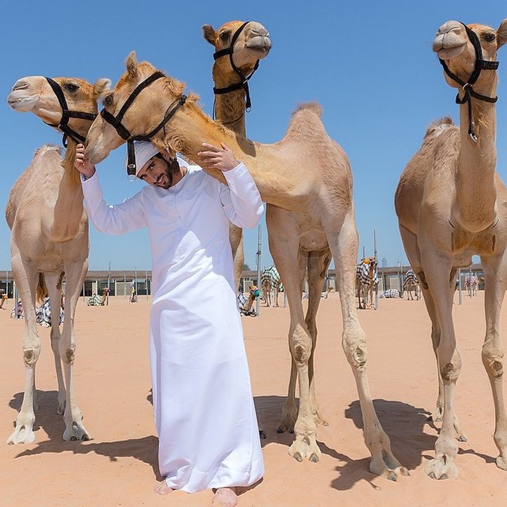 conoce-a-la-verdadera-corona-de-aladino-de-dubai-sheikh-hamdan-02