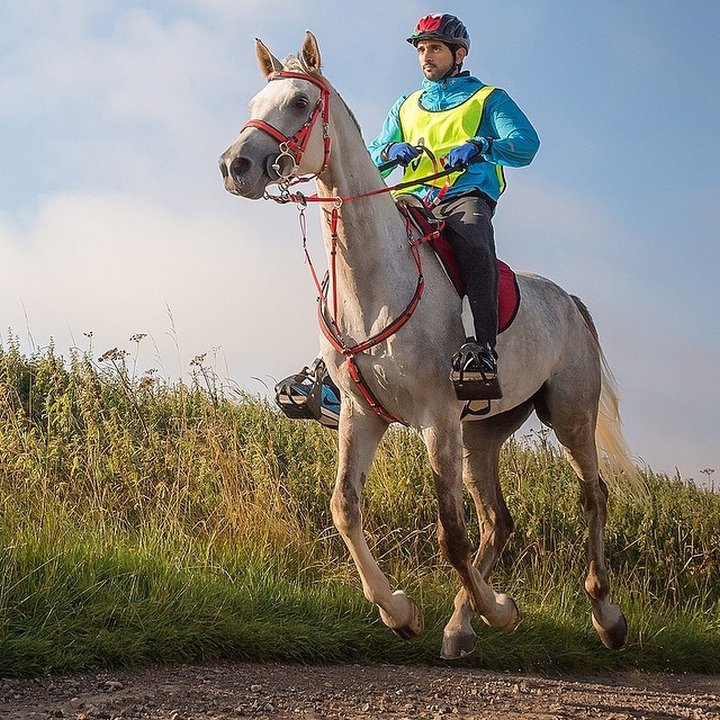 conoce-a-la-verdadera-corona-de-aladino-de-dubai-sheikh-hamdan-04