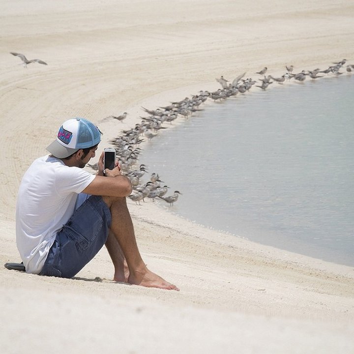 conocer-la-verdadera-corona-de-aladdin-de-dubai-sheikh-hamdan-29