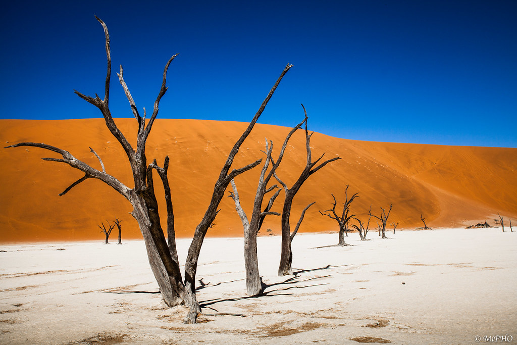 Dead Vlei |:  15 de los lugares más extraños del mundo para visitar en 2020 |  Zest Radar: