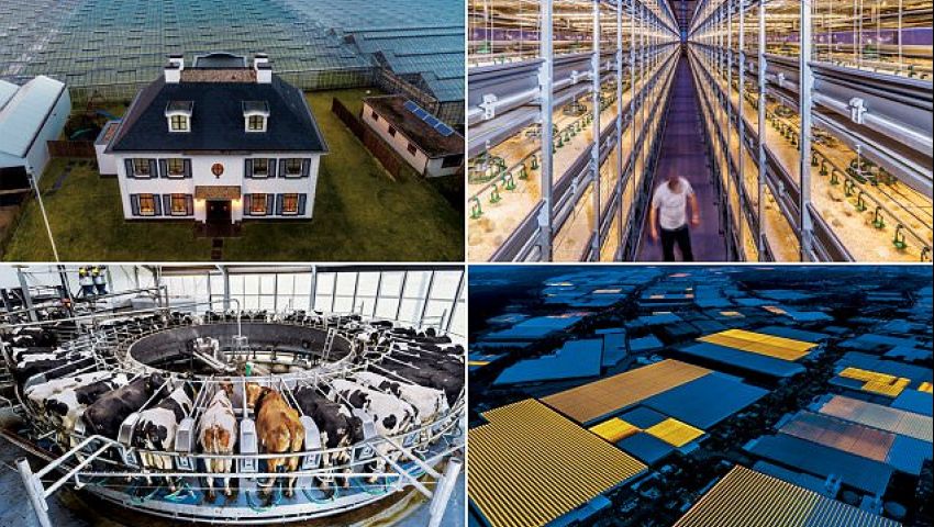 Países Bajos |: 12 países tecnológicamente más avanzados en la actualidad bayas de cerebro