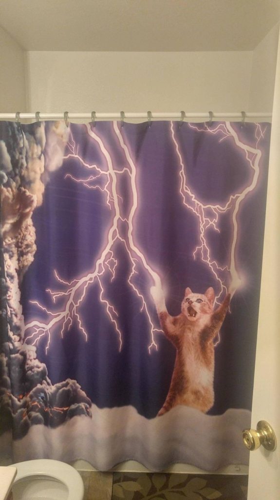 28 Cortinas de ducha geek e hilarantes para adultos # 20 | Bayas cerebrales
